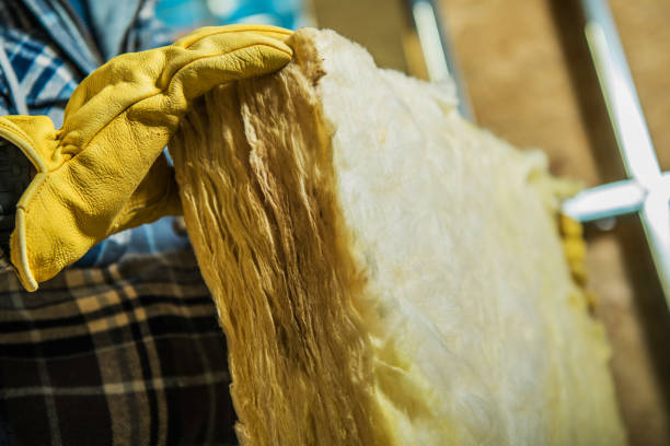 Trusted Crewe, VA Insulation Contractor Experts