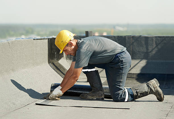 Best Insulation Maintenance and Repair in Crewe, VA